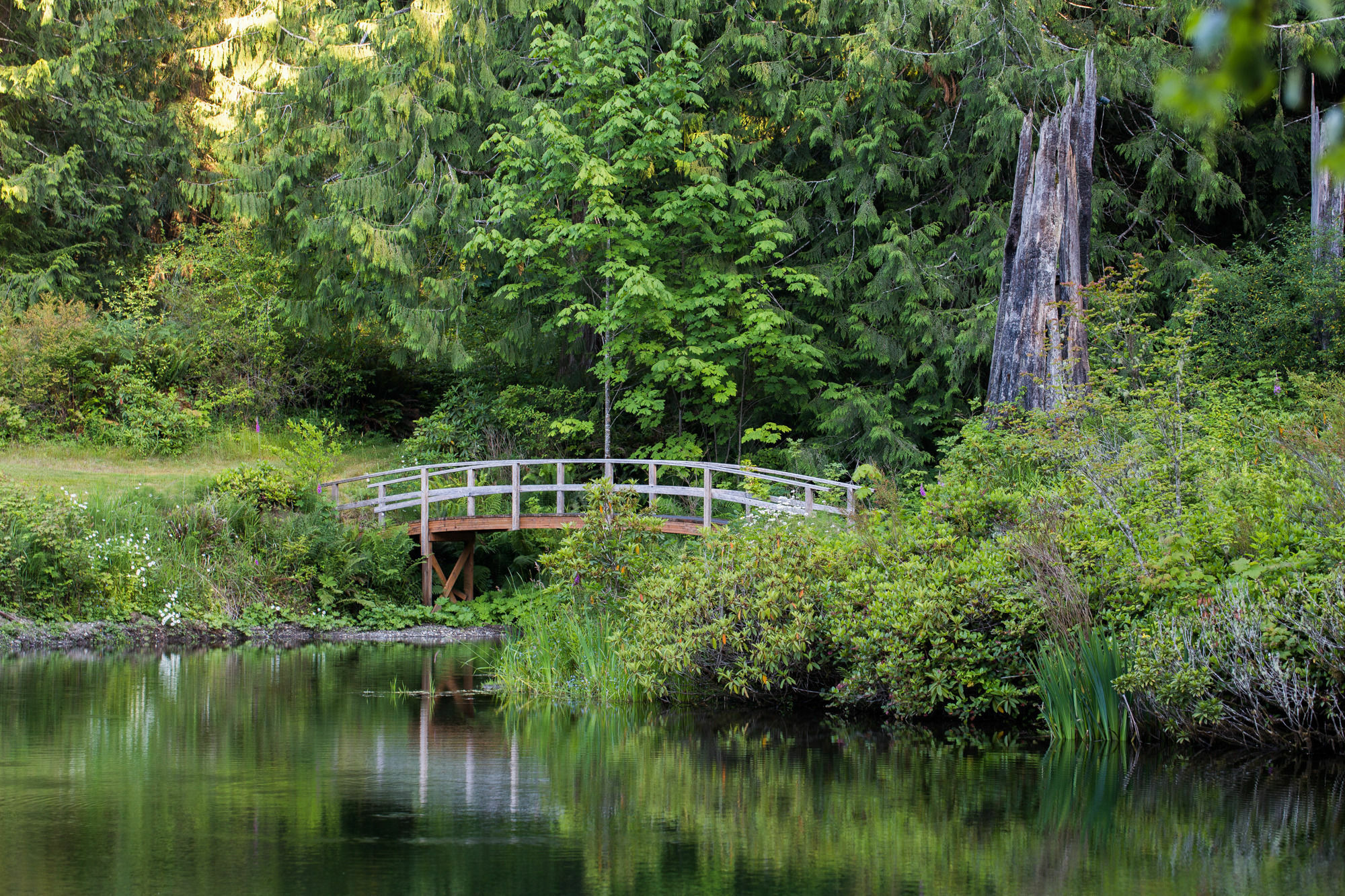 A Hidden Haven Cottages Port Angeles Exterior foto